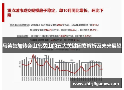马德鲁加转会山东泰山的五大关键因素解析及未来展望